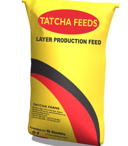 Layer Production 2